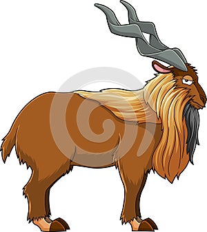 Markhor Animal Cartoon Character photo