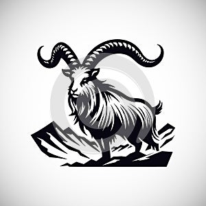 Wild markhor mountain goat standing on rock black and white vector silhouette and outline