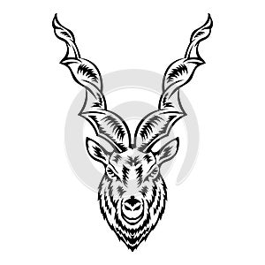 Markhor goat face vector illustration in decorative design style