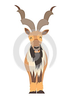 Markhor goat icon vector illustration