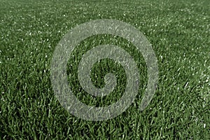 Marking on a modern stadium with artificial turf. School stadium