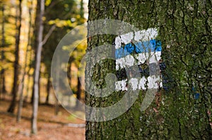 Marking the tourist route painted on the tree. Travel route sign