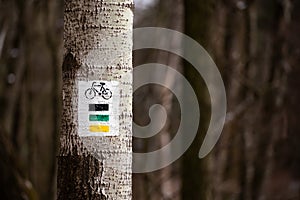 Marks for bicycle routes on a tree in the forest.