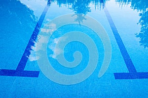 Marks at the bottom of a pool to guide swimmers