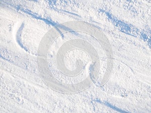 Marks of horseshoes in the snow