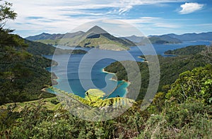 Marlborough Sounds