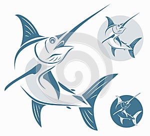 Marlin fish photo