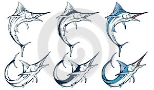 Marlin fish set, vector graphic