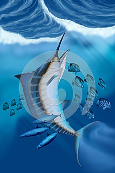 Marlin Fish