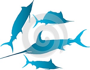 Marlin, sailfish vector photo