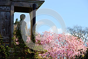 Marmoreal statue in front of a blooming tree in spring