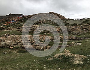 Marmot at Beginning of Outer Kora around Mount Kailash in August in Tibet, China.