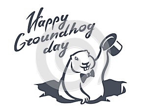 Marmot groundhog day hat hole ground vector illustration
