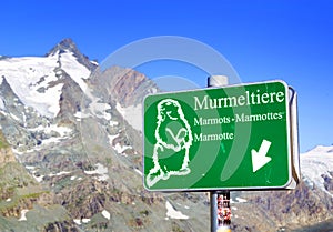 Marmots sign at the Kaiser Franz Josefs HÃ¶he. Grossglockner peack  to the left of the image.