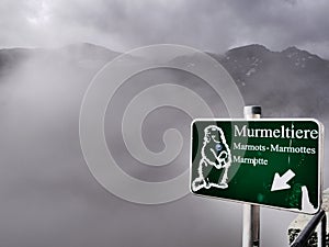 Marmottes sign in austrian Alps