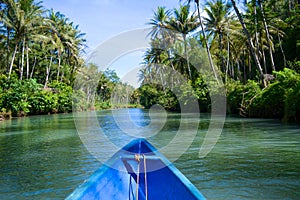 Maron river view from the passenger`s point of view on the boat