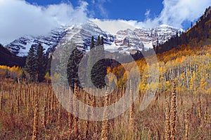 Maroon Bells, Tall Weeds