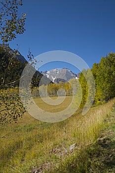 Maroon at a distance