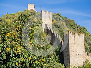 Marostica, Vicenza, Italy. The castle on the top of the hill