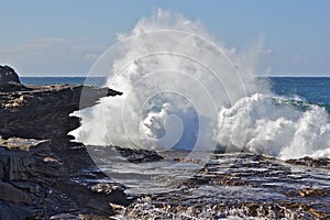 Maroubra wave