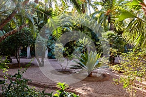 Marrakech / Morocco 03/02/2016 : Jardin Majorelle Garden in Marrakech was founded in 1923