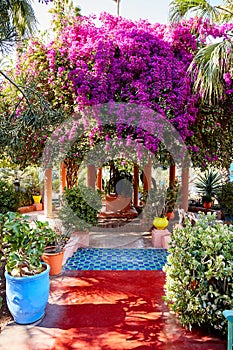 Marrakech / Morocco- 03/02/2016 : Jardin Majorelle Garden in Marrakech was founded in 1923, Yves Saint-Laurent lived here