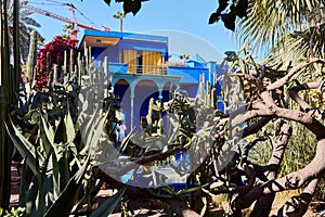 Marrakech / Morocco- 03/02/2016 : Jardin Majorelle Garden in Marrakech was founded in 1923, Yves Saint-Laurent lived here