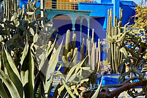 Marrakech / Morocco- 03/02/2016 : Jardin Majorelle Garden in Marrakech was founded in 1923, Yves Saint-Laurent lived here