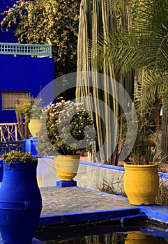 Marrakesh, Majorelle Gardens photo