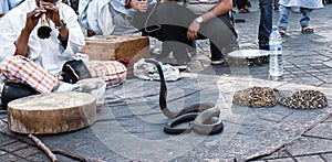 MARRAKESH, MOROCCO Snake charmer at Djemaa el Fna square.  Marrakesh, Morocco