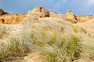 Marram grass on orange coloured sand dunes and beach at Bayleys beach in Northland