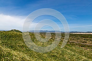 Marram Grass on Sand Dunes