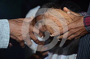 Before marriage two person altering coconuts traditional rule in hindu weddings