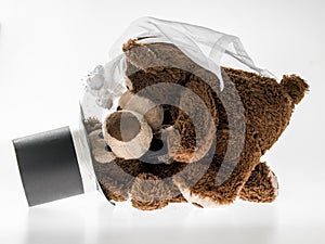 Marriageable teddy bears