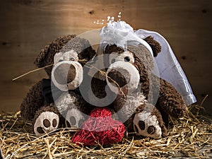 Marriageable teddy bears