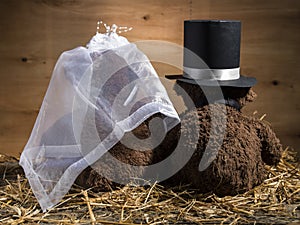 Marriageable teddy bears