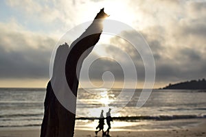 Married senior or young couple walking by the sea at lonely beach at sunset holding hands. Trunk or branch at seaside