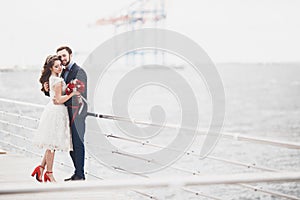 Married wedding couple standing on a wharf over the sea