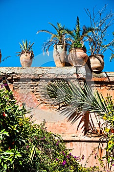 Marrocan walll decorated with plants