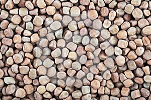 Marrowfat Bean Background