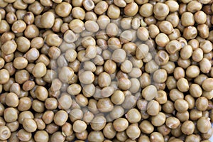 Marrowfat Beans Backgrounds