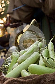 Marrows in the market