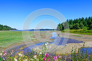 Marrowstone island. Olympic Peninsula. Washington State.
