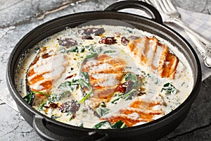 Marry Me Salmon smothered in a buttery, creamy sun-dried tomato spinach sauce closeup in the pan. Horizontal