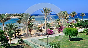 Marsa alam photo