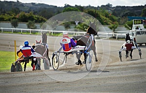 Marsa, Malta - June 5: horse race in Marsa, Malta on June 5, 2014