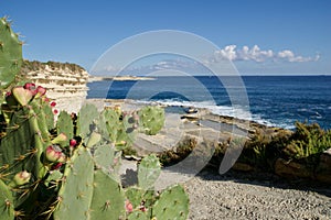 MARSAXLOKK, MALTA - 03 JAN, 2020: Traditional salt fields, Mediterranean Sea and small limestone hill in the background