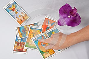 Marseilles Tarot Decks and orchid