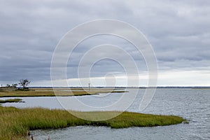 The Marsh along the Channel