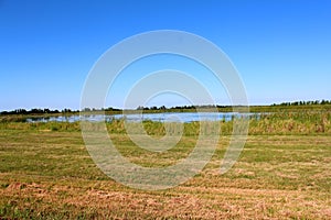 Marsh along Panther Point Trail at Lake Hancock Boat Ramp